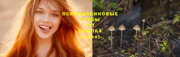 мяу мяу кристалл Корсаков