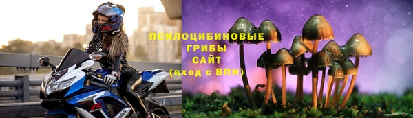 a pvp Козловка