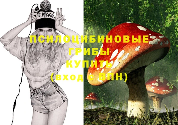 ECSTASY Козельск
