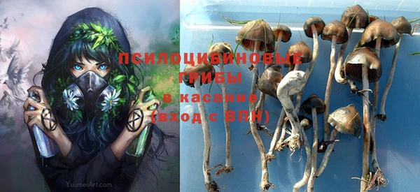 метадон Кодинск