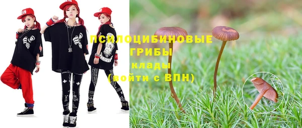 a pvp Козловка
